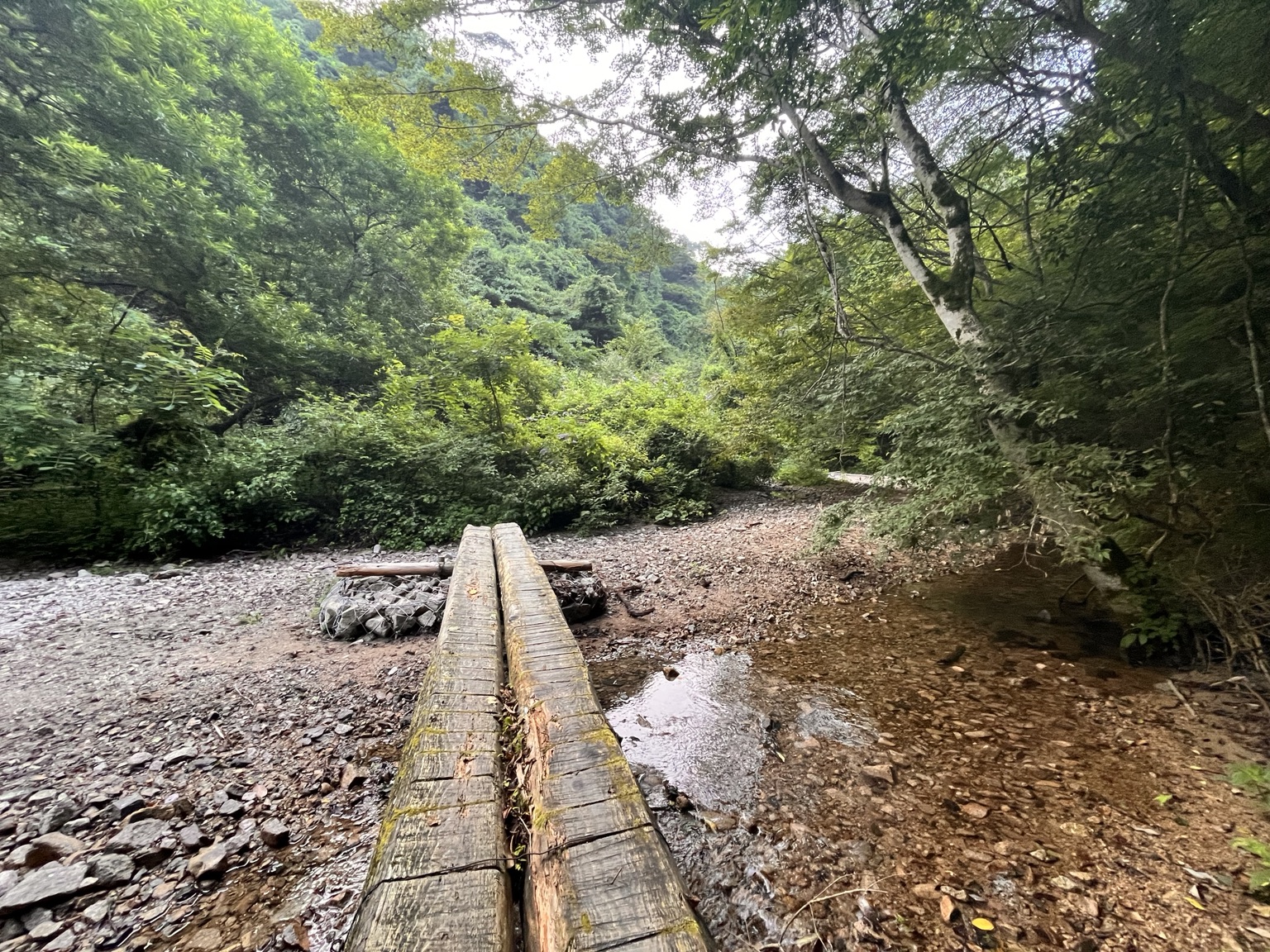 六甲山の往路で渡った沢の上に架かる細い木の橋
