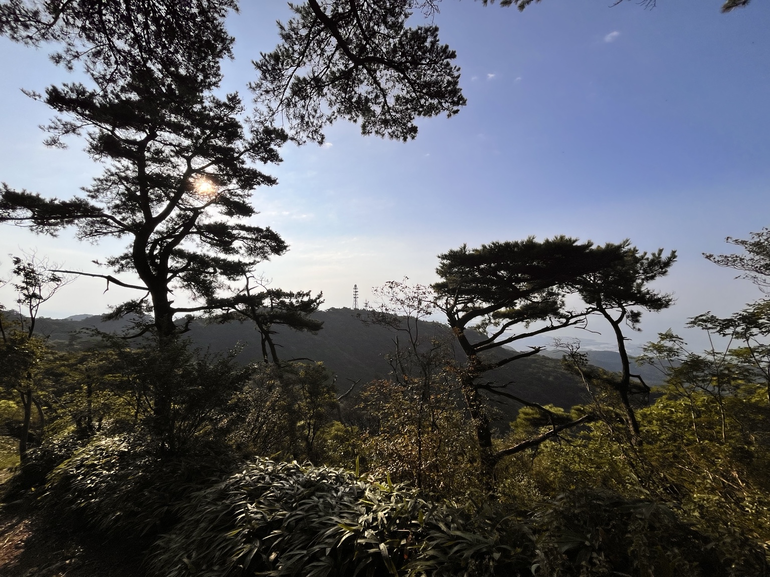 過酷だった往路を抜けた六甲山上から見えた景色