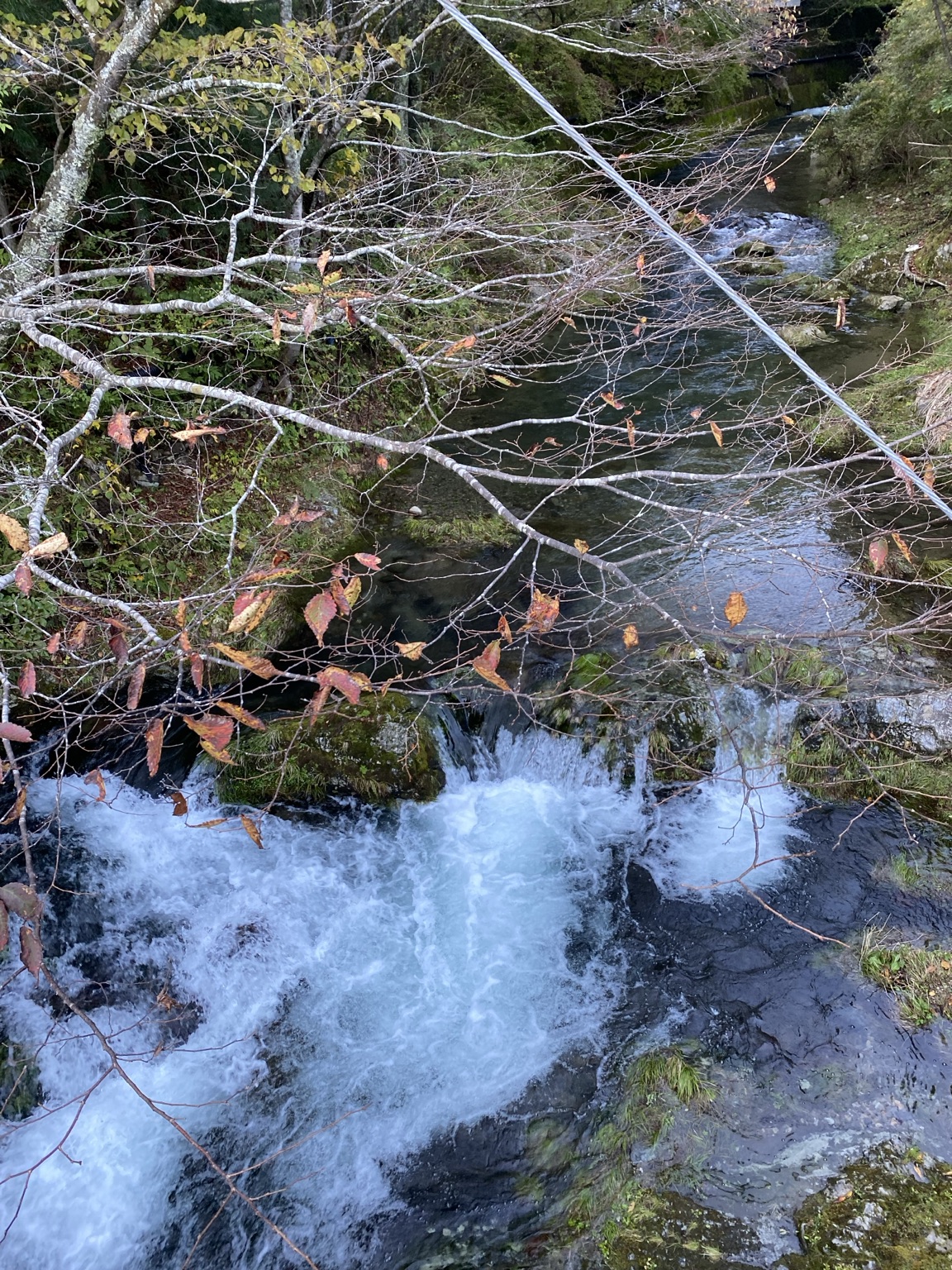 みたらい渓谷で見た勢いのある滝と清流