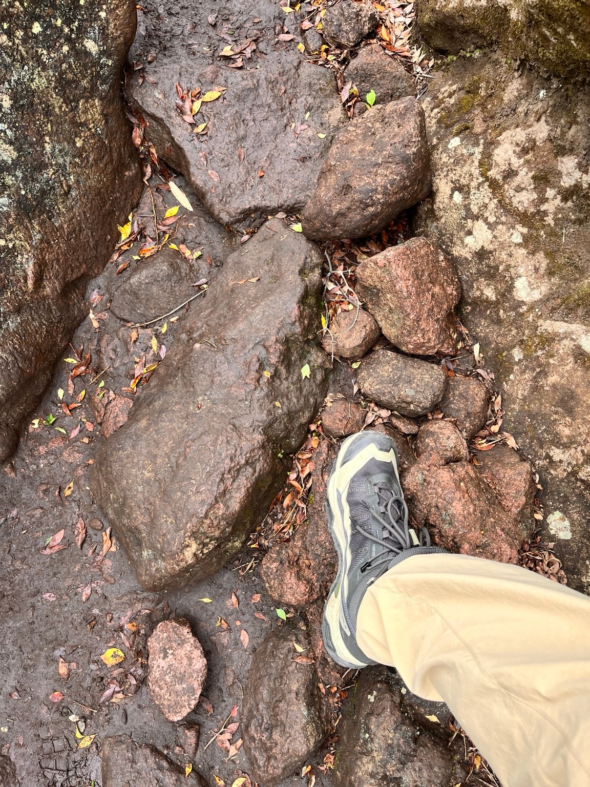 岩の多い登山道で履いていたサロモンの登山靴